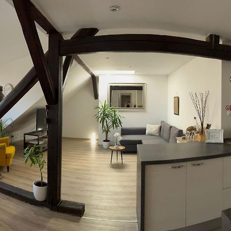 Vip Apartment In Old Town With Free Parking Bratislava Exteriér fotografie