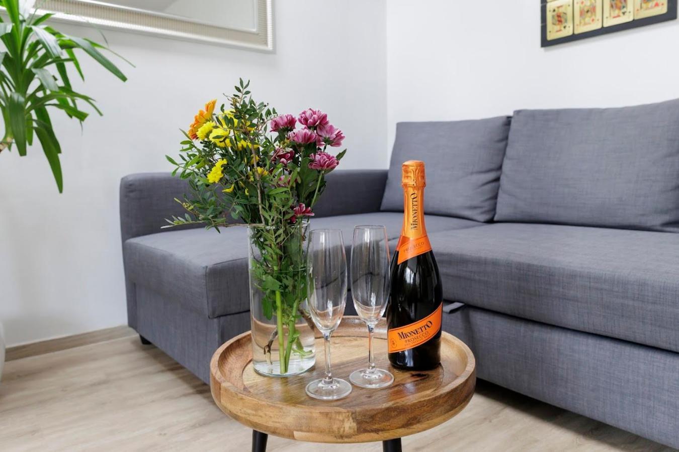 Vip Apartment In Old Town With Free Parking Bratislava Exteriér fotografie