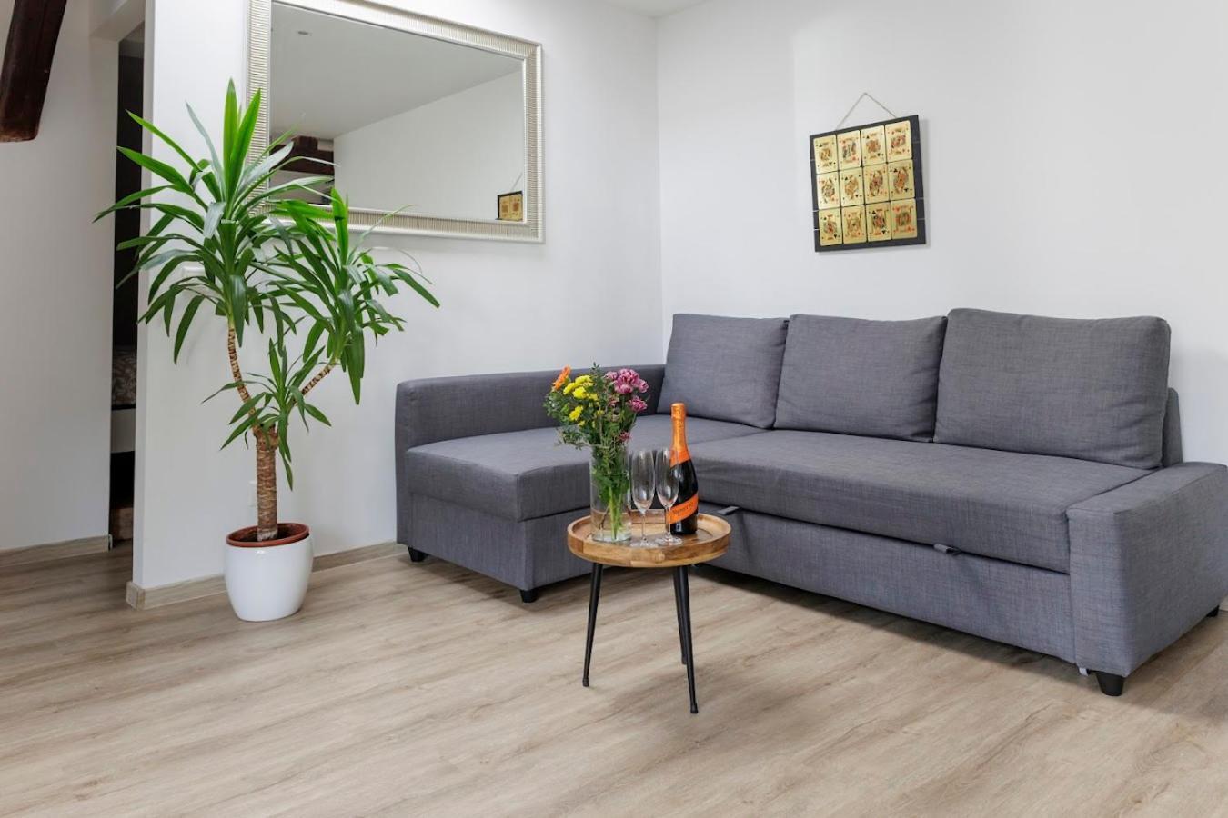 Vip Apartment In Old Town With Free Parking Bratislava Exteriér fotografie