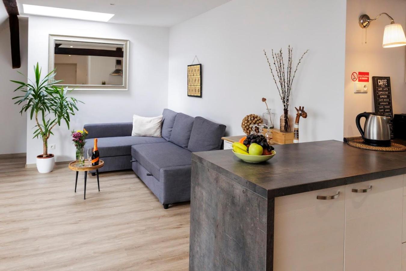 Vip Apartment In Old Town With Free Parking Bratislava Exteriér fotografie